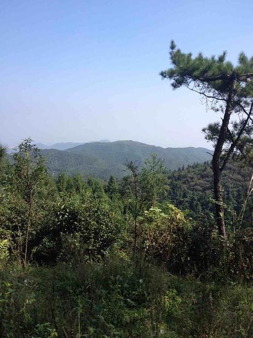 麻姑山旅游景点图片