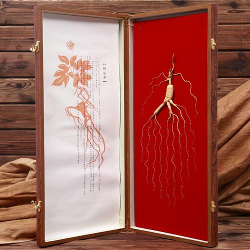 东北吉林人参山参批发 长白山山参礼盒 山参礼盒装实木礼盒6.