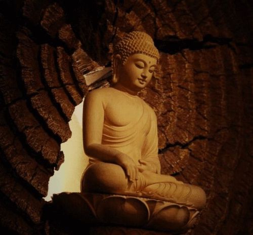 其实不是,这些顿悟之人大概分为两种,一种是做到了自渡之人,也就是