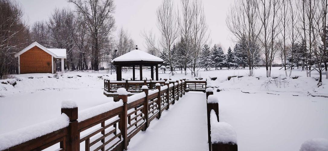 江滨公园雪景美如画