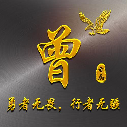 【编号1537】25个姓氏,3d金字,商务励志,十二生肖,雄鹰