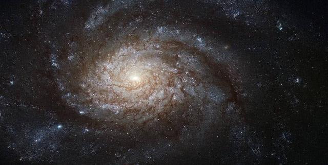 恒星是宇宙的重要组成,那么哪颗恒星才是宇宙最大恒星呢?