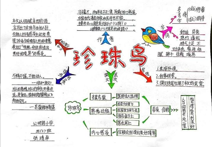 一起"画"语文(41)——《珍珠鸟》