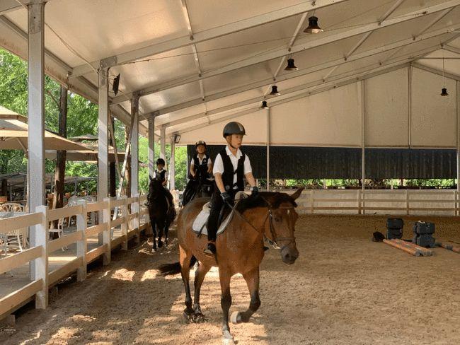 马闻早报丨宿迁新开一马术俱乐部,76万奖金玉龙第15赛马日圆满落幕