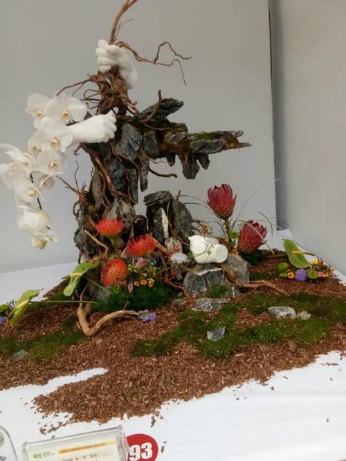 插花获奖作品一
