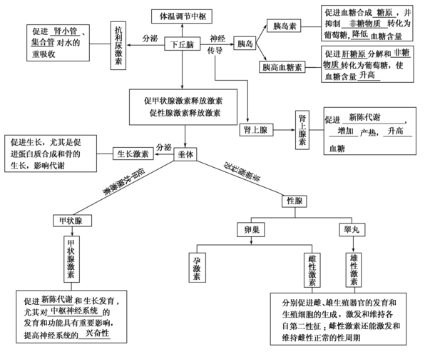 必修③第8单元 第03讲 通过激素的调节 神经调节与体液调节的