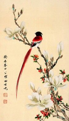 玉兰
