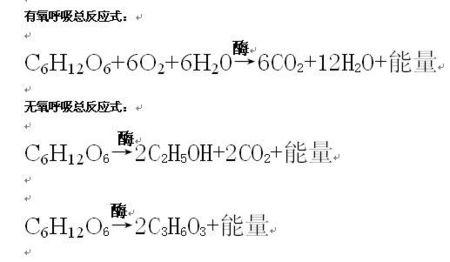 有氧呼吸与无氧呼吸的总反应方程式分别是什么