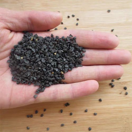 韭菜籽正确的泡水方式推荐2种泡水方式