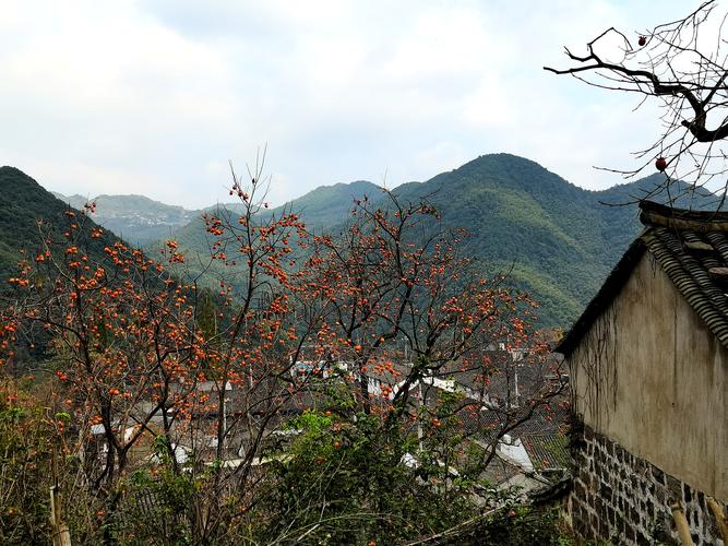 余姚丹山赤水柿林村一日游20201017