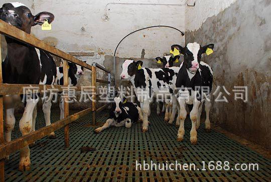牛用漏粪板