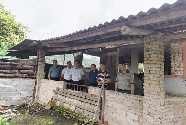 贵州频道 黔东南州视窗 时政要闻  连日来,台江县委,县政府紧紧围绕