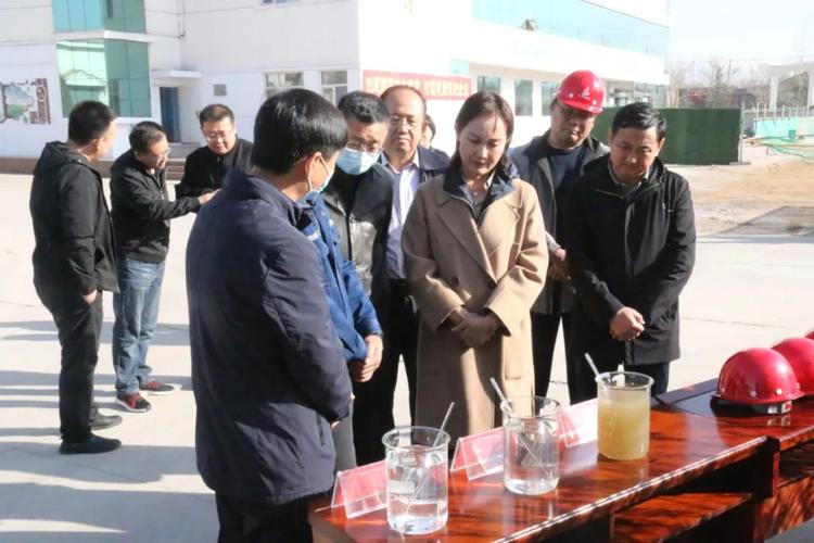 奇飞云调研海勃湾区重点企业和脱贫攻坚工作