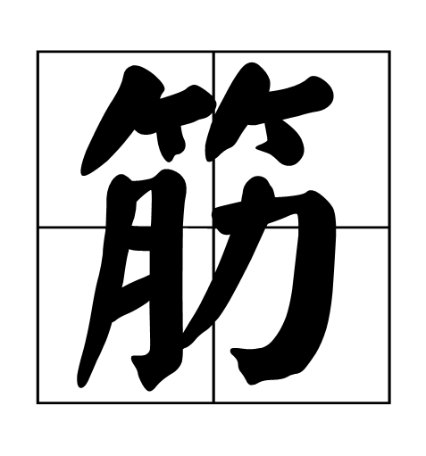 筋