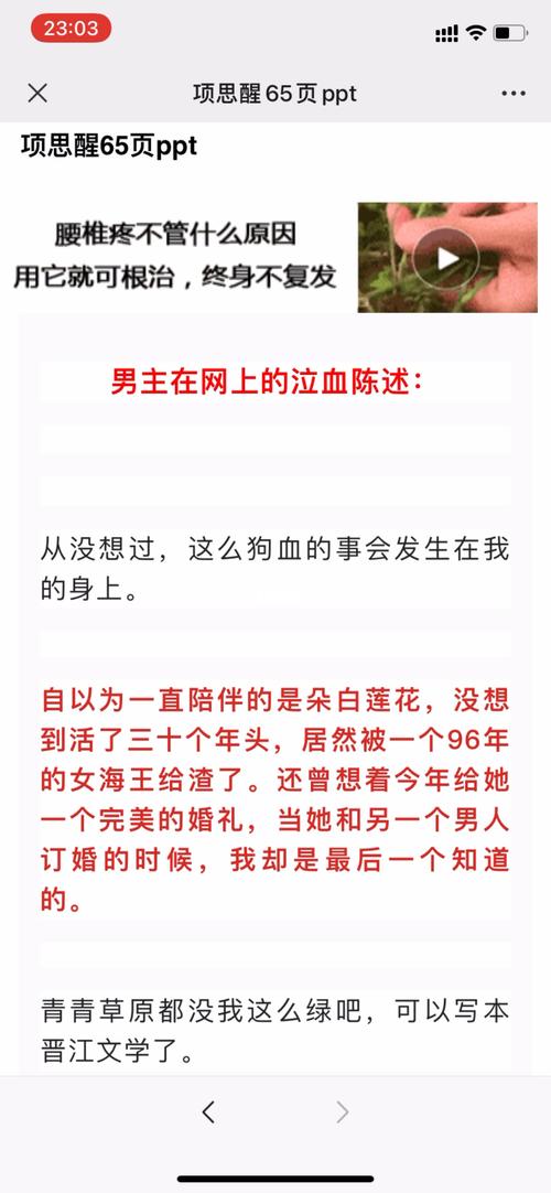 项思醒657015ppt_ppt_科技数码_软件服务