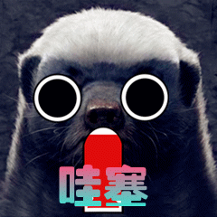 哇塞搞笑表情包gif动态图表情
