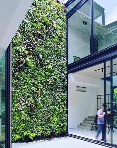 背景墙设计北京仿真绿植墙厂家
