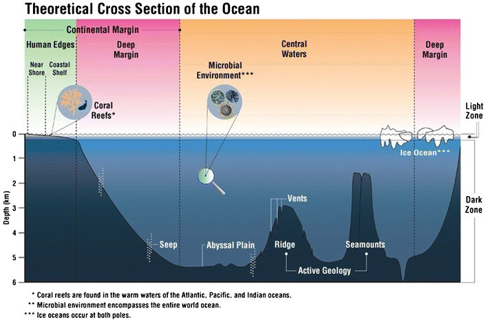 coral reefs (creefs), continental margins (comarge), abyssal