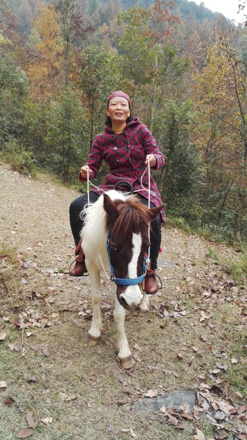 骑着矮马看红枫