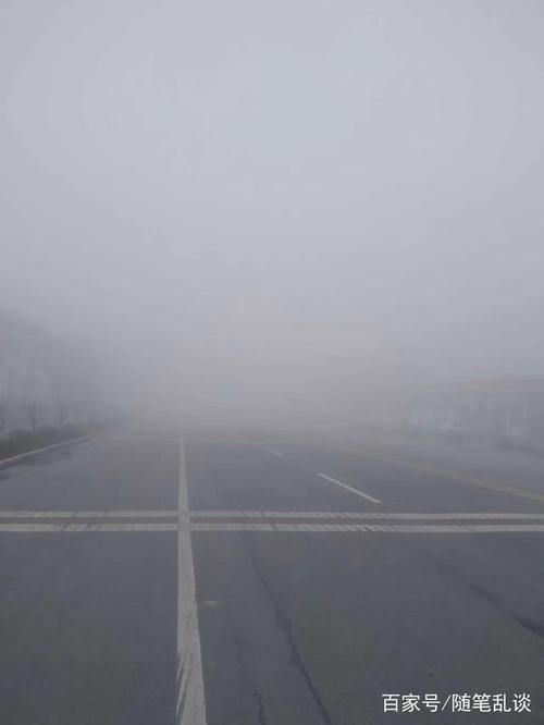 初春的早上,笼罩着一片大雾