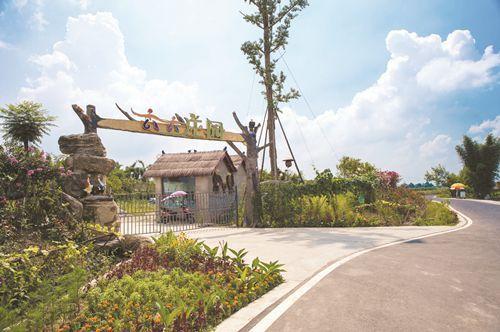 邛崃市桑园镇黑虎村四十年的蜕变,这些年的变化你察觉