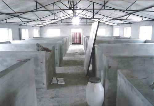 一,猪舍场地选择好