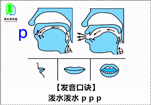 小军伴读||声母【p】