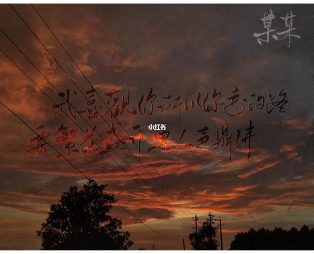 某某_壁纸_手写_板_素材_壁纸