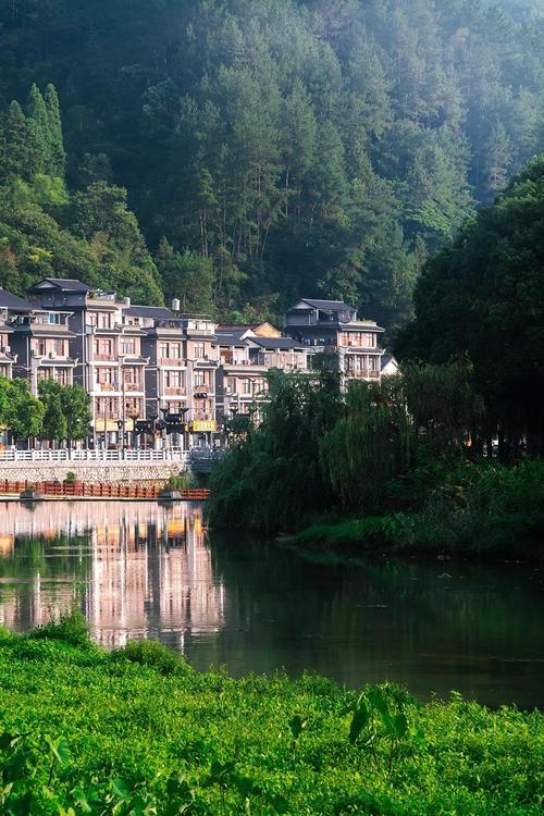 全域旅游 | 家在景宁,城是一个景,景是一座城!