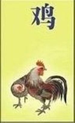 1956年属什么1956年生属什么的