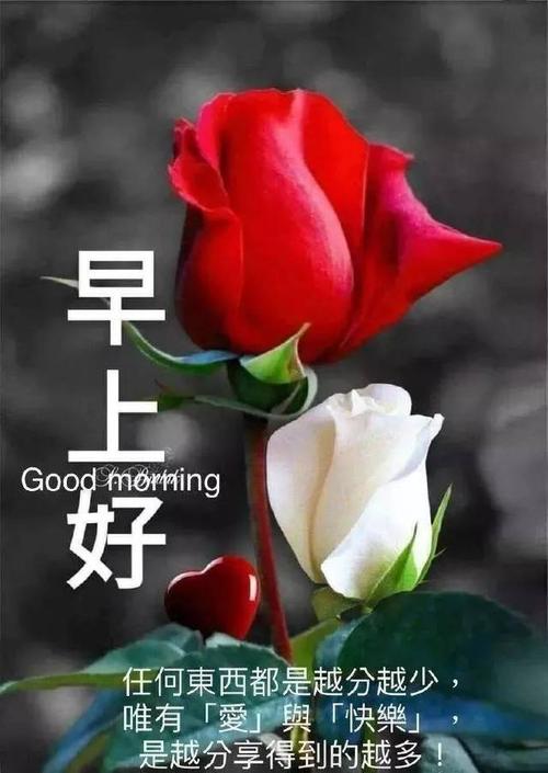 感恩节清晨早上好问候祝福语动态图片 最美早晨好问候