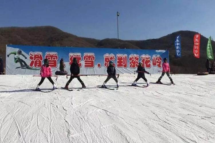 紫花岭滑雪场,抚顺唯一一家集滑雪,戏雪,娱乐为一体的原生态滑雪场.