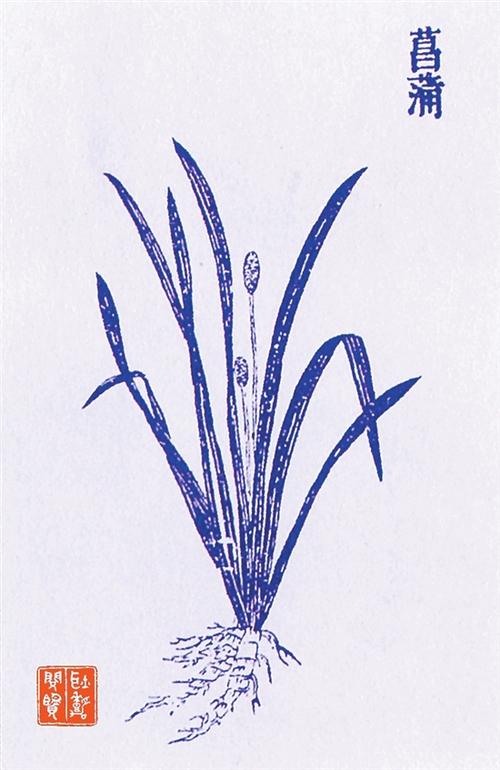 端午辟邪装饰物:菖蒲