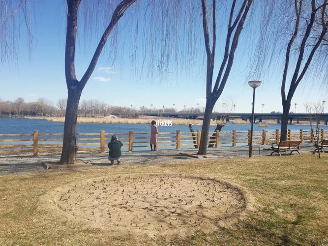 顺义减河公园_减河公园自由行热门攻略_摄影_北京拍照