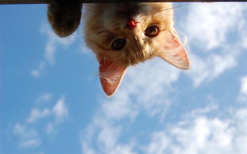 本本啦每天为您挑选9张精美的高清笔记本电脑桌面壁纸.