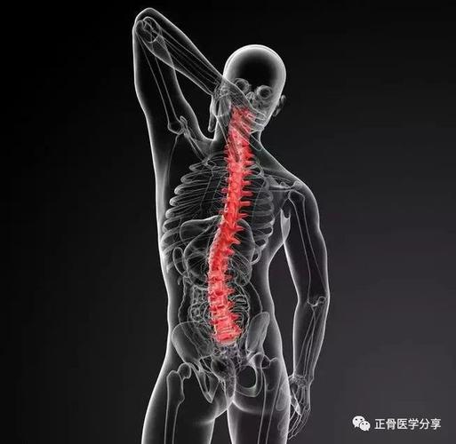 颈椎胸椎腰椎的特点