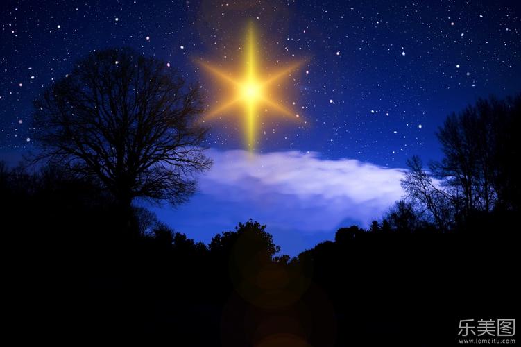 树林夜晚星空闪亮星星风光