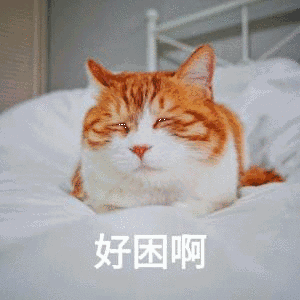300_300gif 动态图 动图