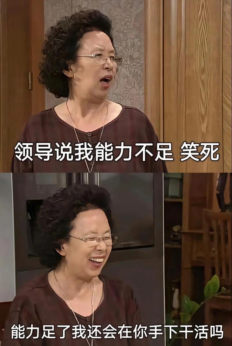 巴山楚水凄凉地 都是打工我懂你#罗文姬女士#罗文姬表情包