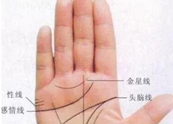 十人九个富的好命手相说明此人是帝王将相之才大富大贵不用愁