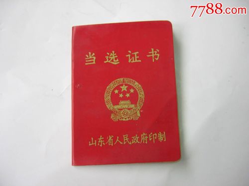 村主任当选证