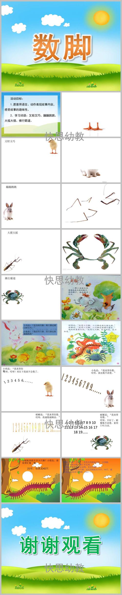 中班故事《数脚》ppt课件教案