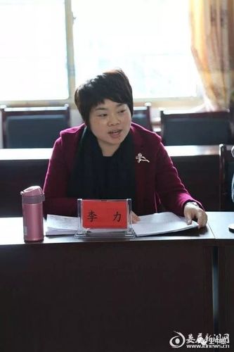 新化县涉枪杀人案告破嫌疑人陈建湘落网