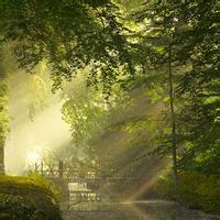 热门微信头像风格推荐 微信头像设置帮助          繁花似锦的