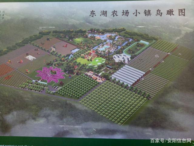安阳东湖农场小镇人山人海,值得一游