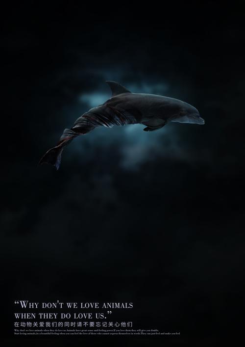 拧巴的可怜小海豚.