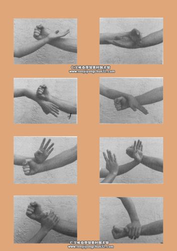 图解18种咏春拳手部防御动作示范教学实用黐手技击应用(广州仁义咏春