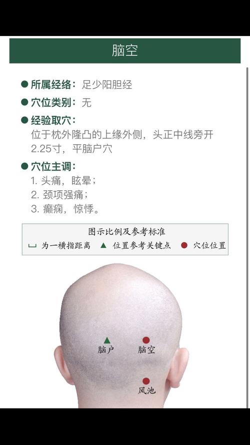 脑空穴