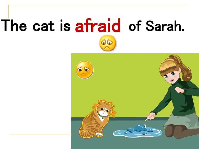 the cat is afraid of sarah.