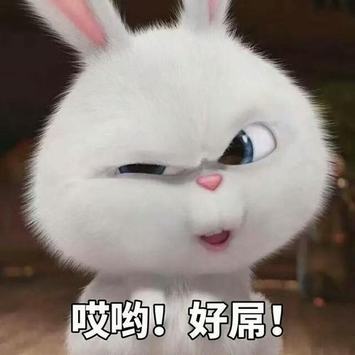 据说这个兔子的表情包快把妹子们逗疯了爱宠大机密贱兔子表情